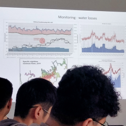 Dr. Pál-Schreiner Judit  - Tettye Forrásház Zrt. 