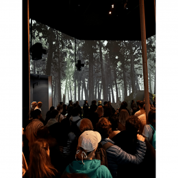 Dr. Gyergyák János - Robert Bosch Kft, Liget Budapest Látogatóközpont, Magyar Zene Háza